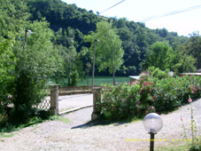 camping