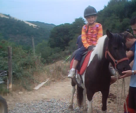 equitation