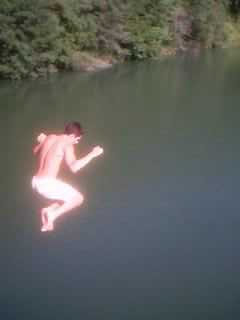 Saut