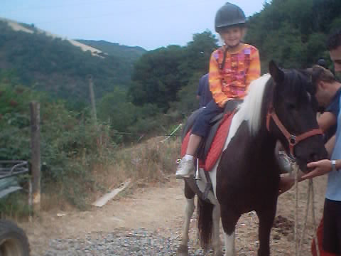 equitation