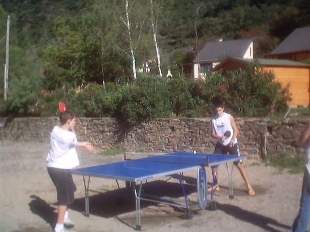 ping-pong