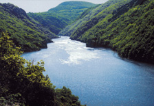 lE TARN